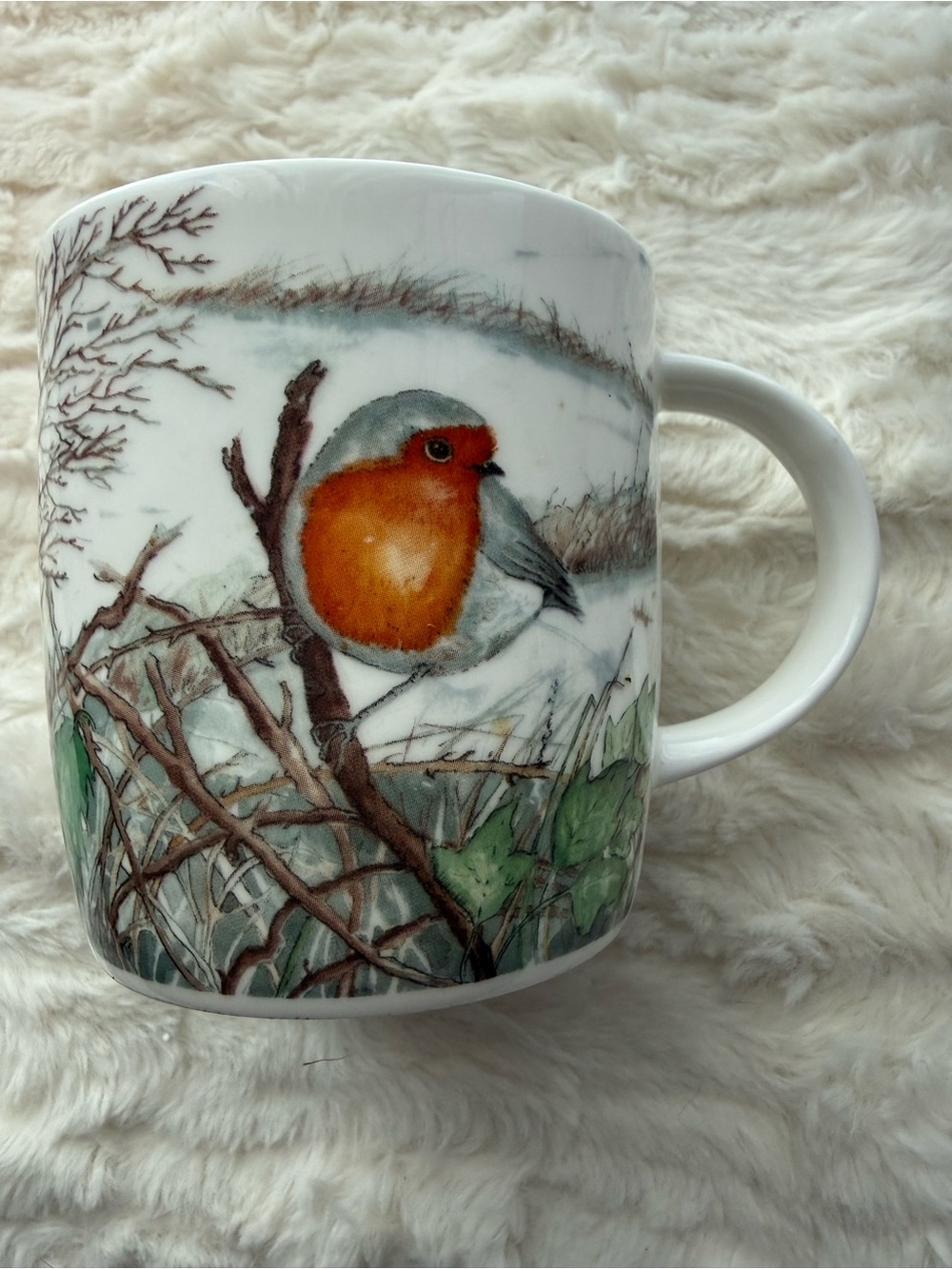 Roy Kirkham RSPB Winter Birds Mug England Robin Bird Design 3.5”
